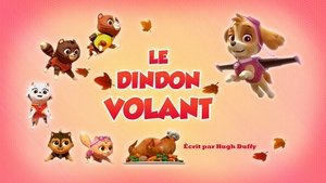 Le Dindon volant