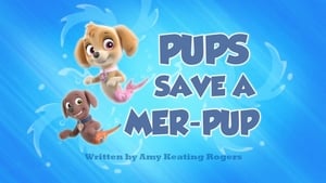 PAW Patrol Pups Save a Mer-Pup