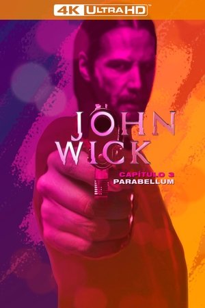poster John Wick: Chapter 3 - Parabellum