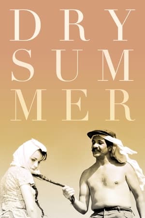 Dry Summer poster