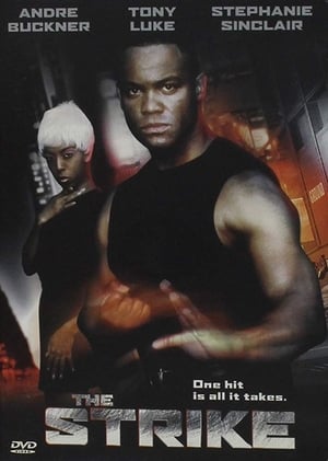 Poster Fighting Chance (1999)