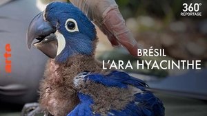 Episode 32