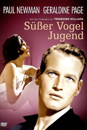 Poster Süßer Vogel Jugend 1962