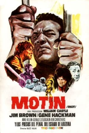 Poster Motín 1969