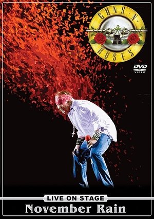 Poster Guns N' Roses Live At Reading Festival (2010)