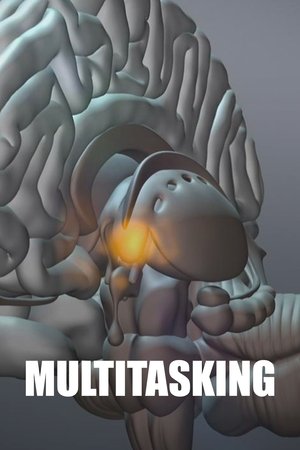 Image Multitasking - Wie viel geht gleichzeitig?