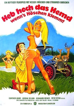 Poster Liebe durch die Autotür 1972