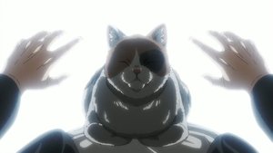 Nyaight of the Living Cat Dublado Episódio 12