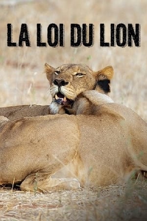 Image La loi du lion