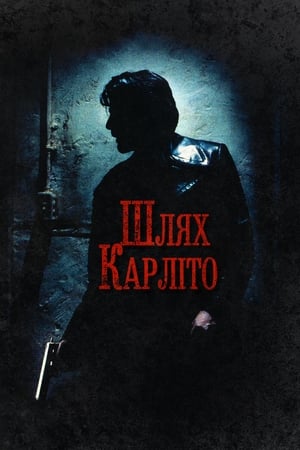 Poster Шлях Карліто 1993