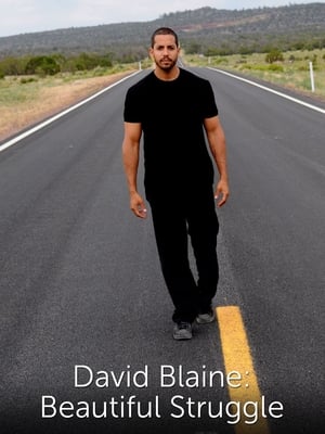 David Blaine: Beautiful Struggle