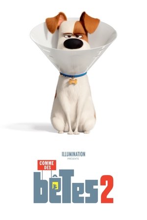 <Images posters