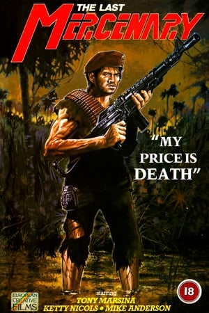 Poster El último mercenario 1984