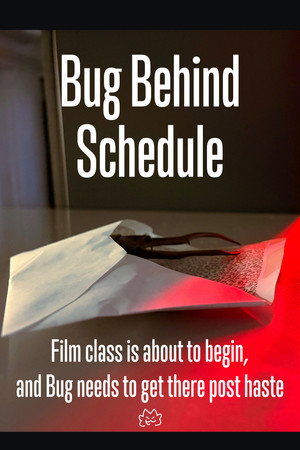 Bug Behind Schedule (2026)