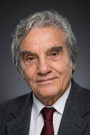 Süleyman Turan portrait