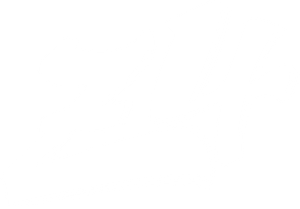 Z4 — Logos 3