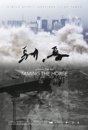 Taming the Horse poster