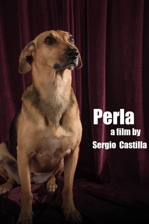 Image Perla: La Película