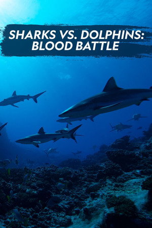 Sharks vs. Dolphins: Blood Battle 10