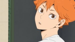 Haikyu!!: 4×4