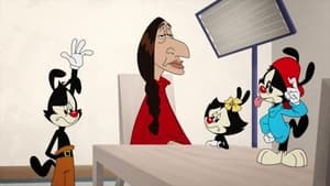 Animaniacs The Warners Are Present