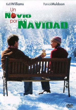 pelicula Un novio por Navidad (2004)