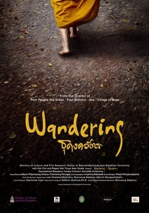 Poster Wandering (2016)