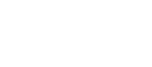 Fancy Dance