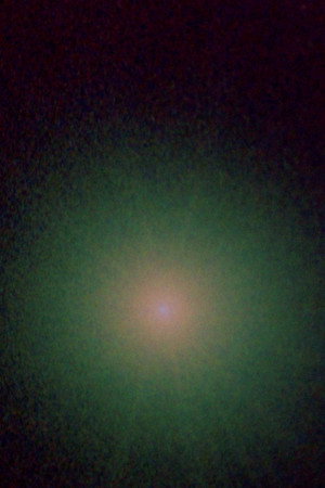 The Light of Silence (2026)