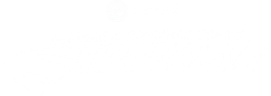 Minhas Aventuras com o Superman