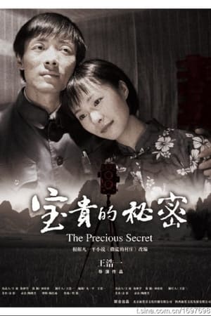 Poster 宝贵的秘密 (2009)