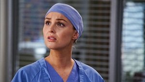 Grey’s Anatomy: Stagione 13 x Episodio 14