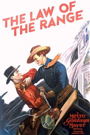 Poster The Law of the Range (1928)