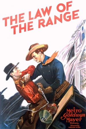 Poster The Law of the Range 1928
