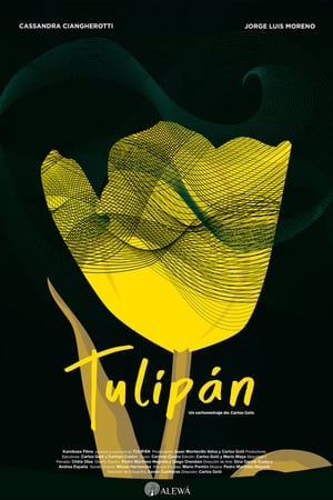 Poster Tulipán 2021
