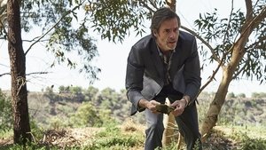 Jack Irish: 2×1