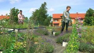 Sweden, Malmo, the green renaissance