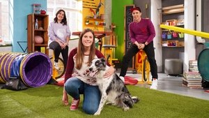 Cochon dingue: 5×11