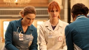 Bones: Stagione 11 – Episodio 14