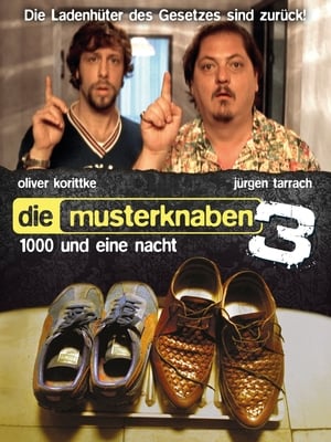 Die Musterknaben 3 - 1000 und eine Nacht poster