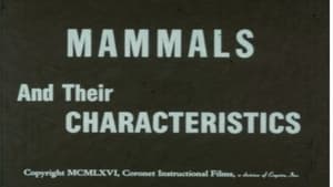 Mammals and Their Characteristics
