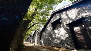 Journeys in Japan: 15×15