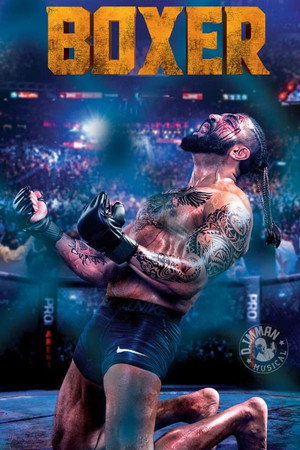 Boxer 3