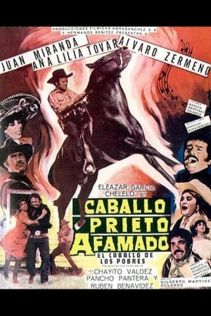 Poster Caballo prieto afamado 1977