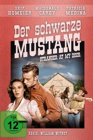 Image Der schwarze Mustang