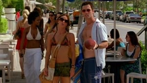 Burn Notice: Sezon 1 Odcinek 8