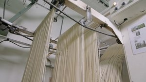 Cotton; Rodeo Roping Chutes; Asian Noodles; Rotary Engines