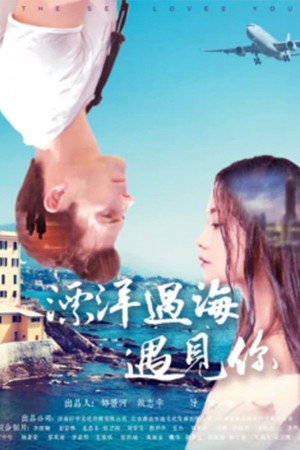 漂洋过海遇见你封面图