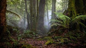 Force of Nature: The Dry 2 ( 2024 )