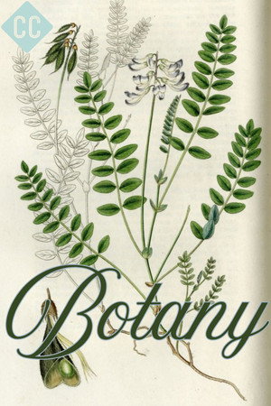 Crash Course Botany - Saison 1